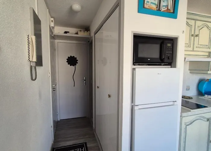 Apartment T2 Centre Port Cap D'agde